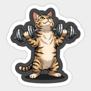 Purrfectly Fit Cat Gym Sticker